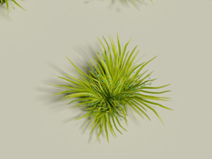 Low poly grass Hand drawn texture Set of 5 objects Modèle 3D