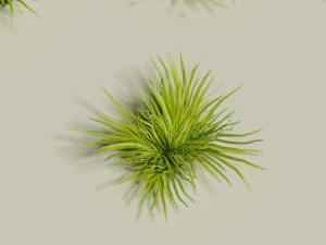 Low poly grass Hand drawn texture Set of 5 objects 3D Model