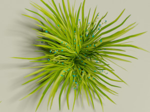 Low poly grass Hand drawn texture Set of 5 objects Modèle 3D