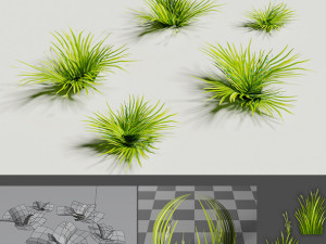 Low poly grass Hand drawn texture Set of 5 objects Modèle 3D