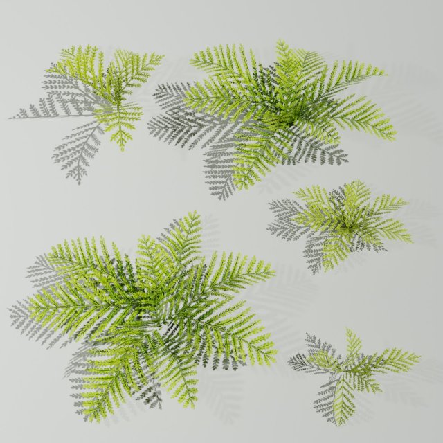 A small model of a low poly fern Hand drawn texture Set of 5 objects 3D 模型 .c4d .max .obj .3ds .fbx .stl .blend 