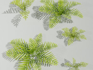 A small model of a low poly fern Hand drawn texture Set of 5 objects 3Dモデル