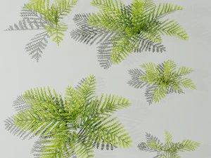 Een klein model van een lage polyvaren Handgetekende textuur Set van 5 objecten 3D Model