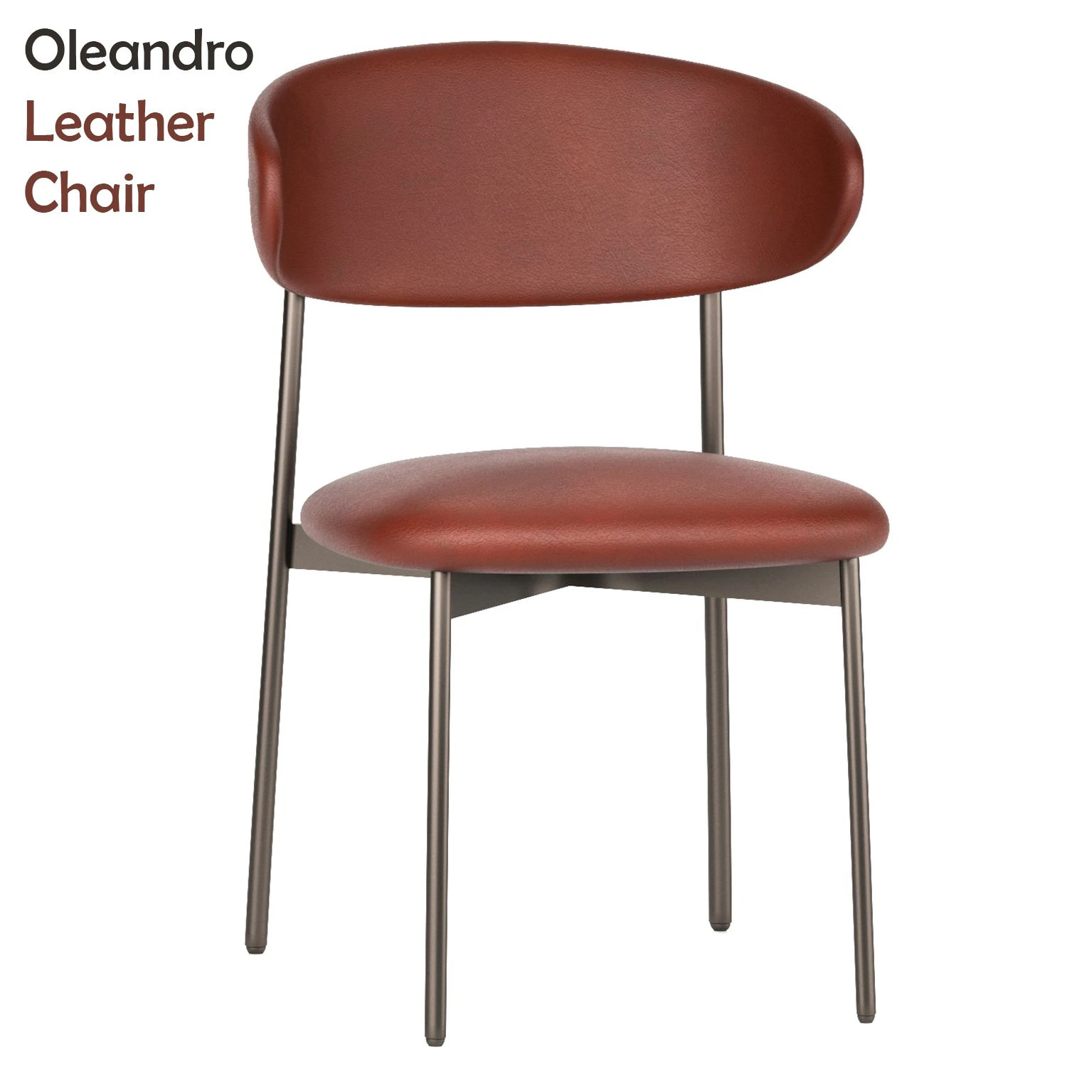 Oleandro Leather Chair 3D Model .c4d .max .obj .3ds .fbx .stl .blend 