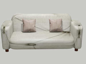 Special Sofa 3D 모델