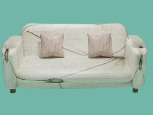 Special Sofa 3D Model