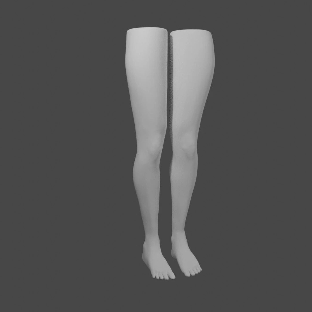 Female legs 3D Model .c4d .max .obj .3ds .fbx .stl .blend