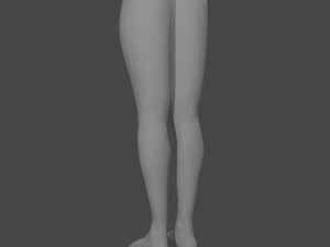 Female legs Model 3D