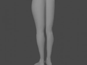 Female legs 3D Model