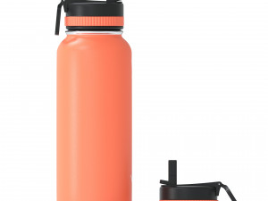 Thermobottle 3D Model