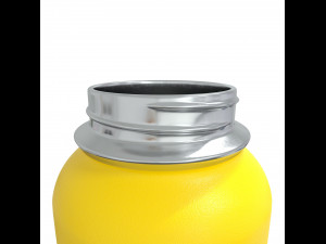 Thermobottle 3D Model