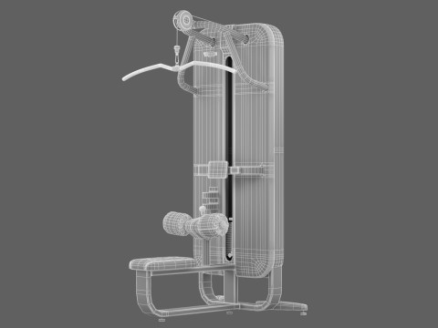 Technogym Artis Lat Machine Model 3D