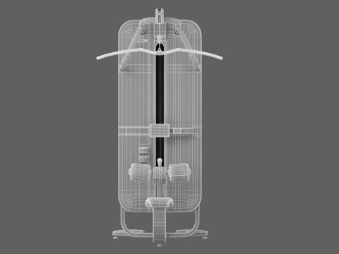 Technogym Artis Lat Machine Model 3D