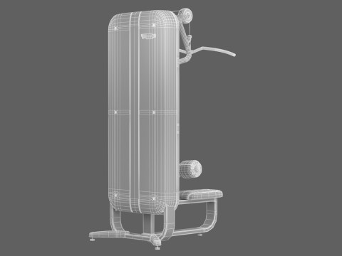 Technogym Artis Lat Machine Model 3D