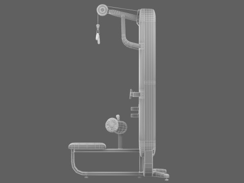 Technogym Artis Lat Machine Model 3D