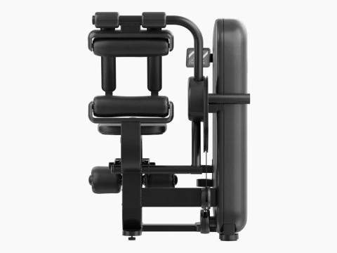 Technogym Artis Total Abdominal 3D Model
