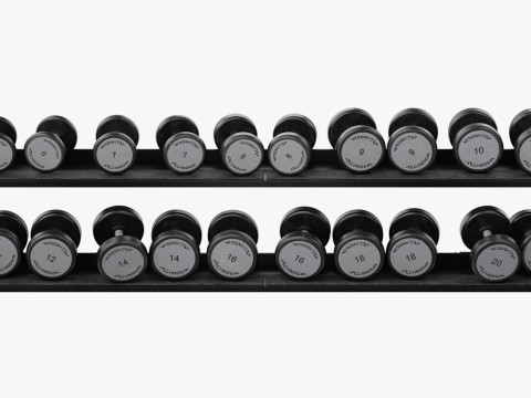 Technogym Dumbbels Rack Pure Modelo 3D