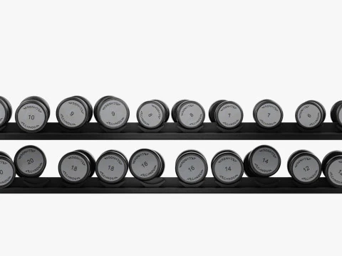 Technogym Dumbbels Rack Pure 3D Model