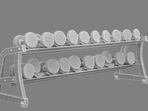 Technogym Dumbbels Rack Pure Modelo 3D