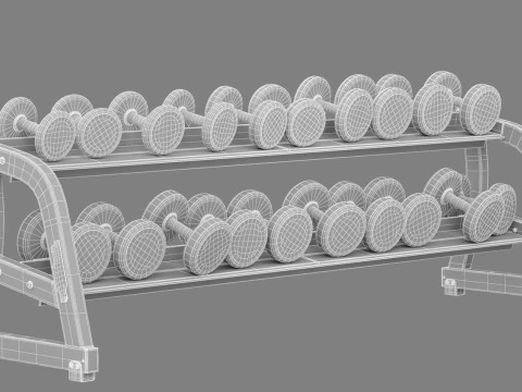 Technogym Dumbbels Rack Pure 3D Model