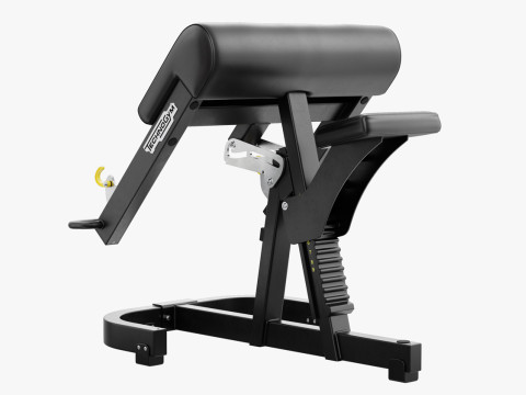 Technogym Scott Bench Pure Modello 3D