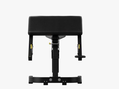 Technogym Scott Bench Pure Modello 3D