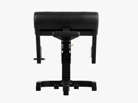 Technogym Scott Bench Pure Modello 3D