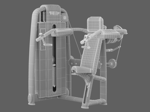Technogym Selection 700 - Delts Machine Model 3D