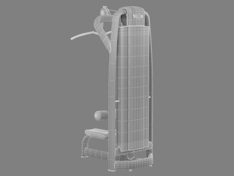 Technogym Selection 700 - Lat Machine 3D Model