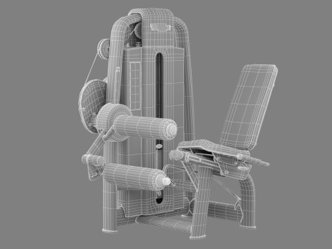 Technogym Selection 700 - Leg Curl Modello 3D