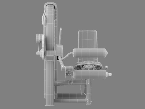 Technogym Selection 700 - Leg Curl Modello 3D