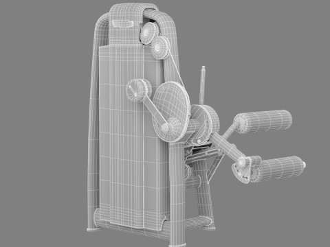 Technogym Selection 700 - Leg Curl Modello 3D