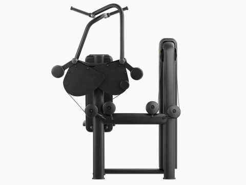 Technogym Selection 700 - Vertical Traction 3D Model