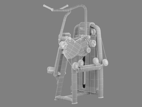 Technogym Selection 700 - Vertical Traction 3D Model