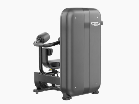 Technogym Artis Rotary Torso Modello 3D