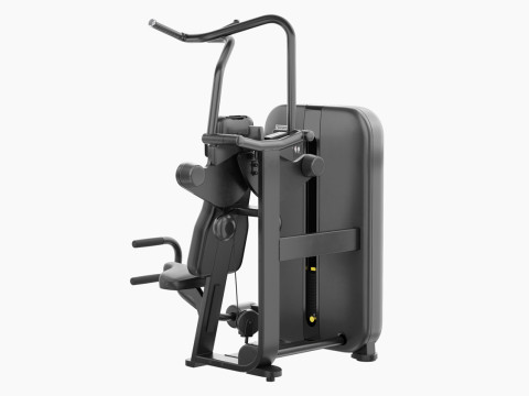 Technogym Artis Vertical Traction 3D Model