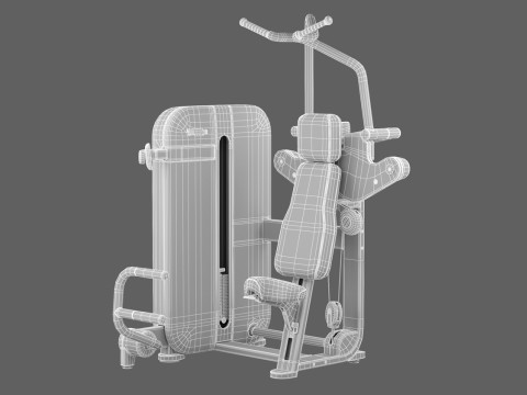 Technogym Artis Vertical Traction 3D Model