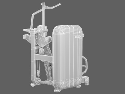 Technogym Artis Vertical Traction 3D Model