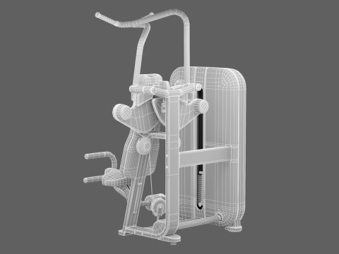 Technogym Artis Vertical Traction 3D Model