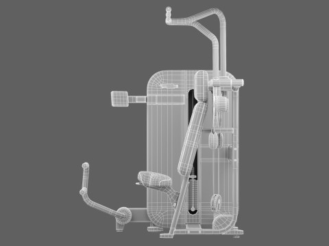 Technogym Artis Vertical Traction 3D Model