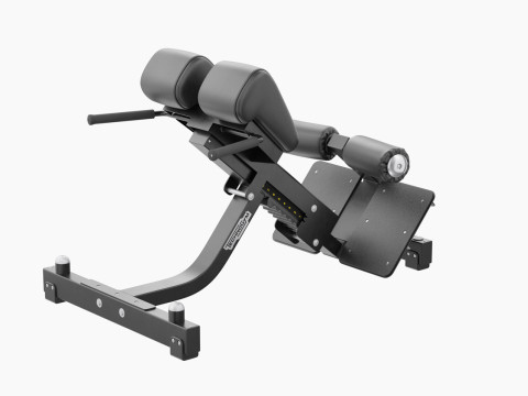 Panca per la zona lombare Technogym Pure Modello 3D