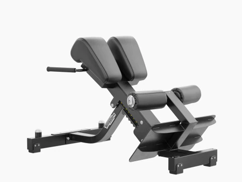 Technogym Lower Back Bench Pure 3D Model