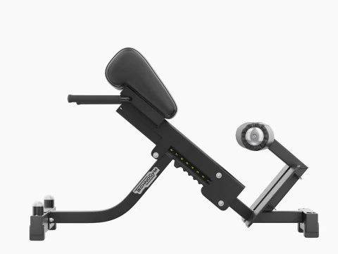 Technogym Lower Back Bench Pure 3D Model