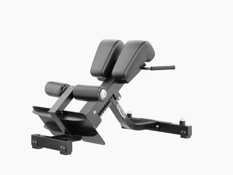 Technogym Lower Back Bench Pure 3D Model