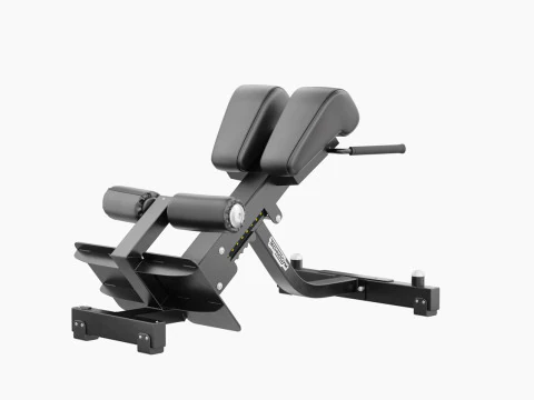 Technogym Lower Back Bench Pure 3D Model