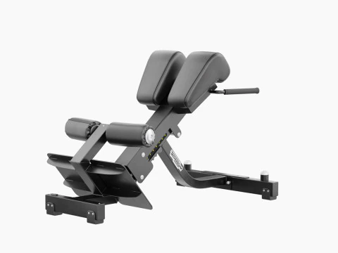 Technogym Lower Back Bench Pure 3D Model