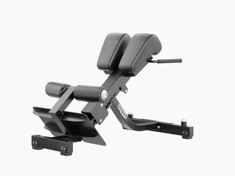 Technogym Lower Back Bench Pure 3D Model