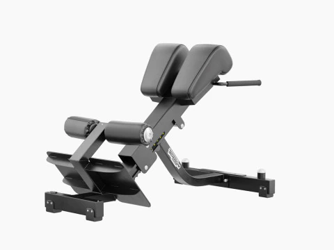 Technogym Lower Back Bench Pure 3D Model