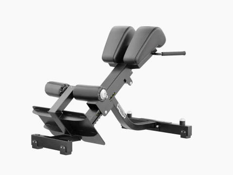 Technogym Lower Back Bench Pure 3D Model