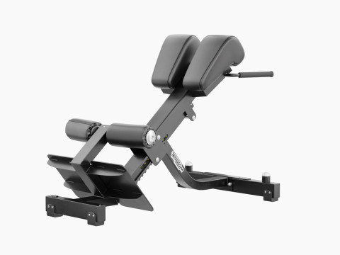 Panca per la zona lombare Technogym Pure Modello 3D